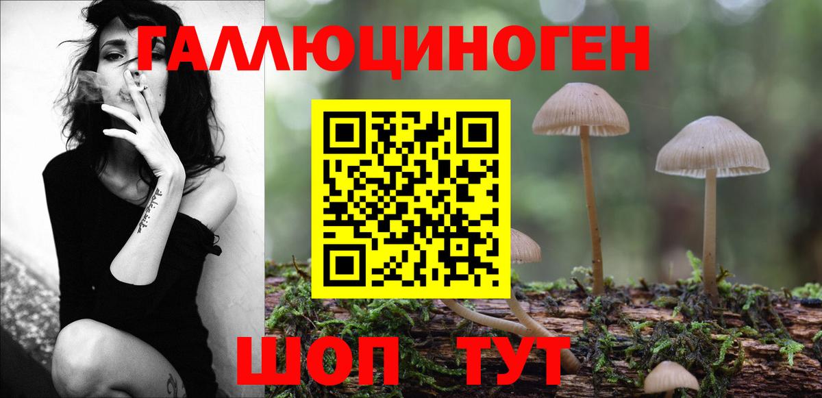 Псилоцибиновые грибы мицелий Вологда